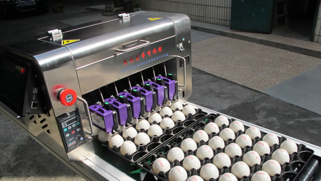 ag真人平台E6高速鸡蛋喷码机