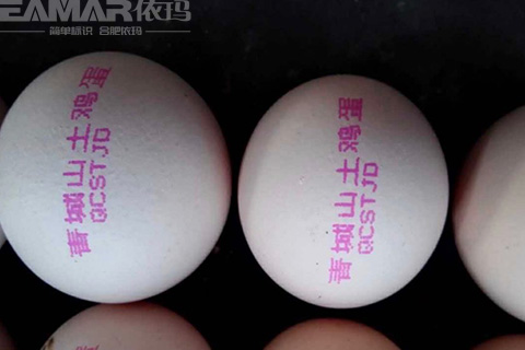 鸡蛋喷码机样品效果