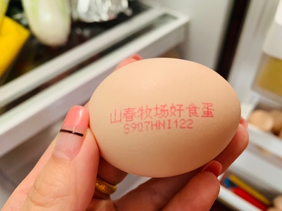 浏览全球网络，，，，您还能找到比这个更周全的鸡蛋喷码机解决计划吗？？？？